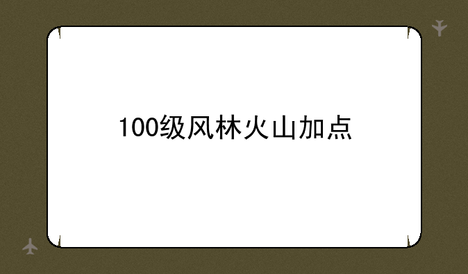 100级风林火山加点