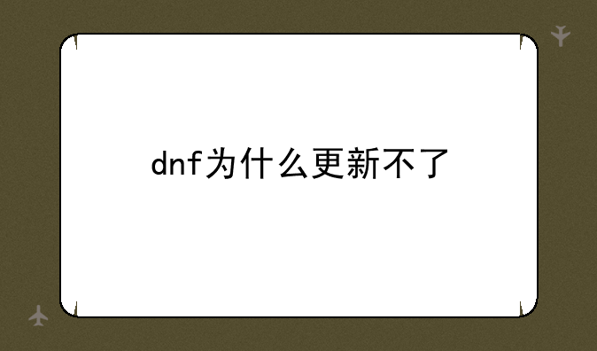 dnf为什么更新不了
