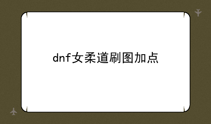 dnf女柔道刷图加点