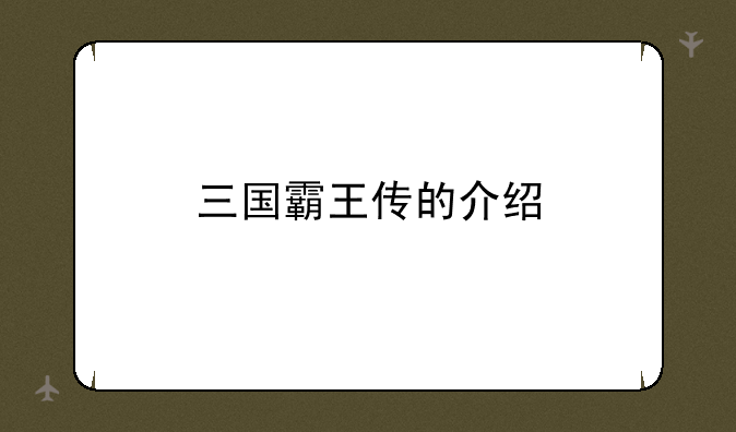 三国霸王传的介绍