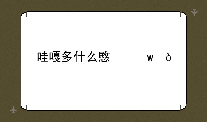 哇嘎多什么意思？