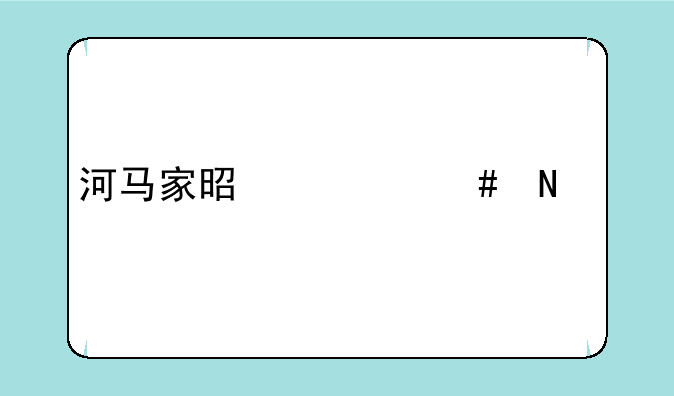 河马家是什么品牌