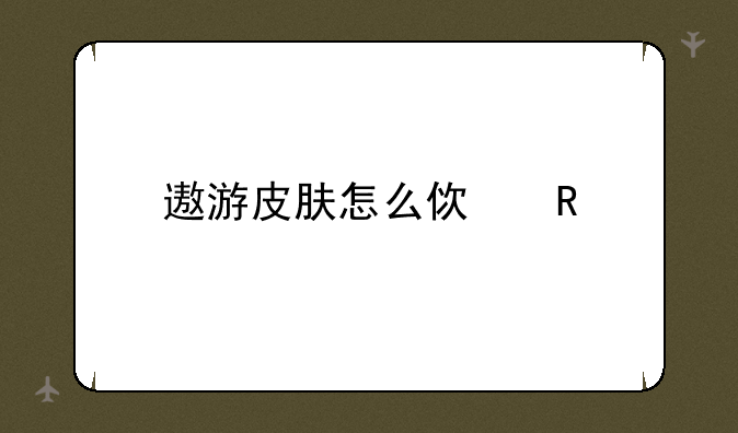 遨游皮肤怎么使用