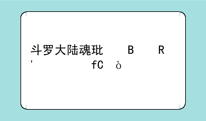 斗罗大陆魂环吸收等级上限？