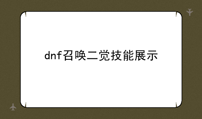 dnf召唤二觉技能展示