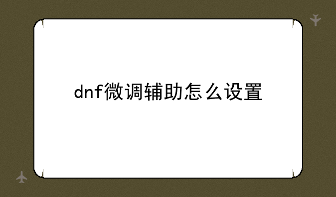 dnf微调辅助怎么设置
