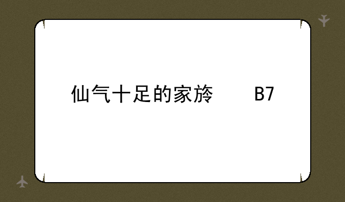 仙气十足的家族名字