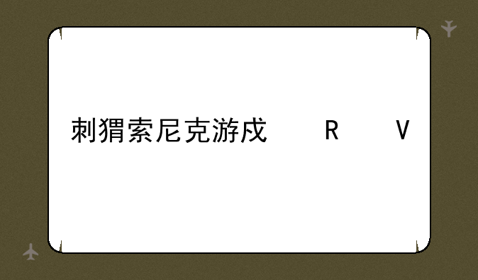 刺猬索尼克游戏攻略