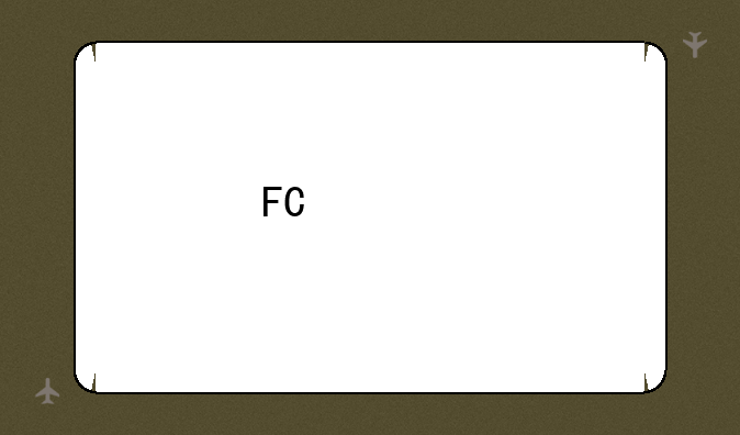 FC快打旋风的游戏指南