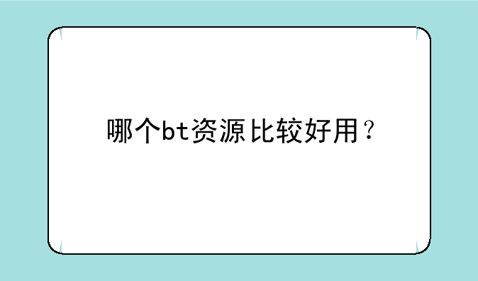 哪个bt资源比较好用？