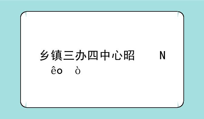 乡镇三办四中心是哪些？