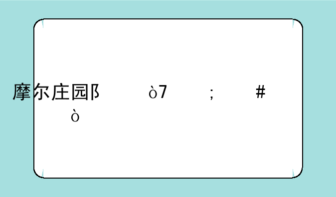 摩尔庄园队伍怎么组建？