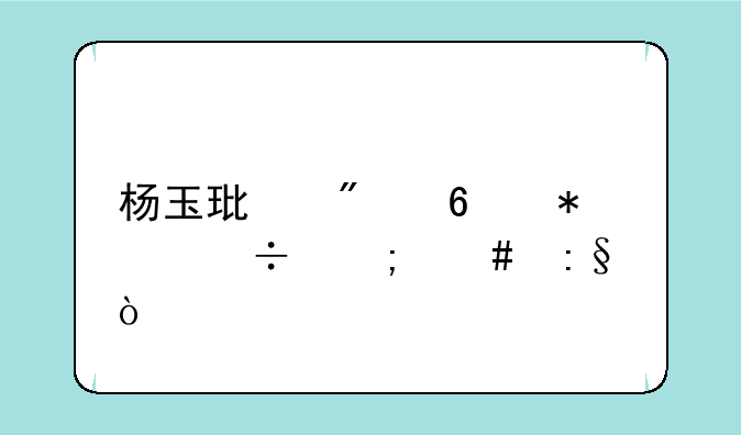 杨玉环切换技能怎么玩？