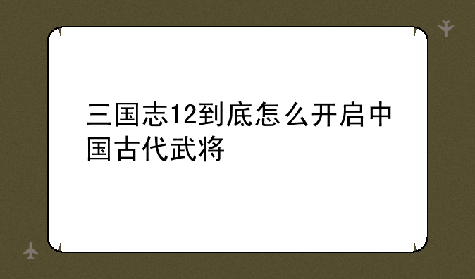 三国志12到底怎么开启中国古代武将