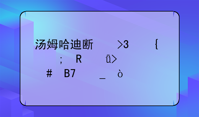 汤姆哈迪斯双胞胎电影叫什么名字？