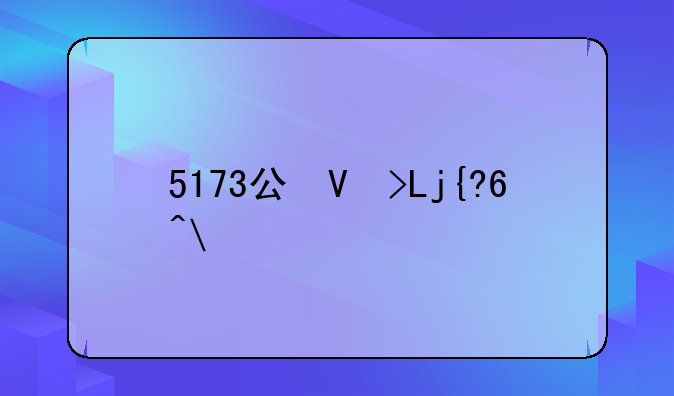 5173公司简介