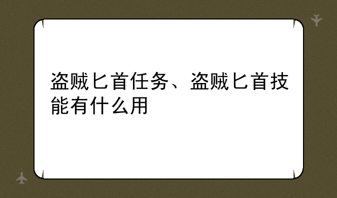 盗贼匕首任务、盗贼匕首技能有什么用