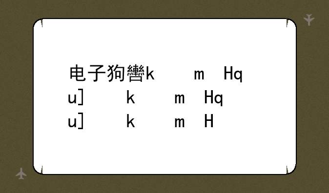 电子狗软件;电子狗软件下载