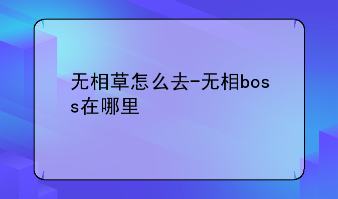 无相草怎么去-无相boss在哪里
