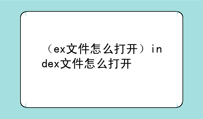 （ex文件怎么打开）index文件怎么打开