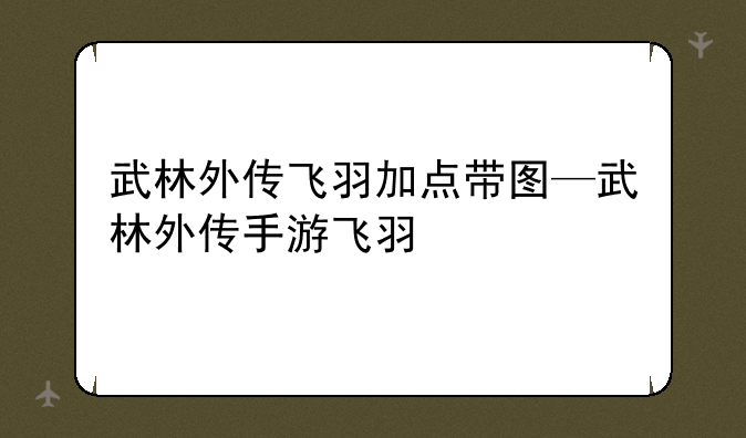 武林外传飞羽加点带图—武林外传手游飞羽