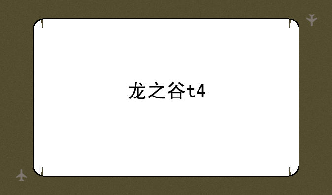 龙之谷t4