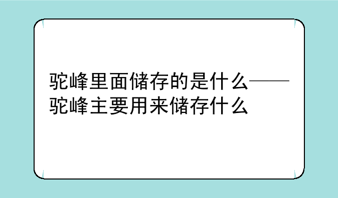 驼峰里面储存的是什么——驼峰主要用来储存什么