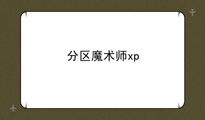 分区魔术师xp